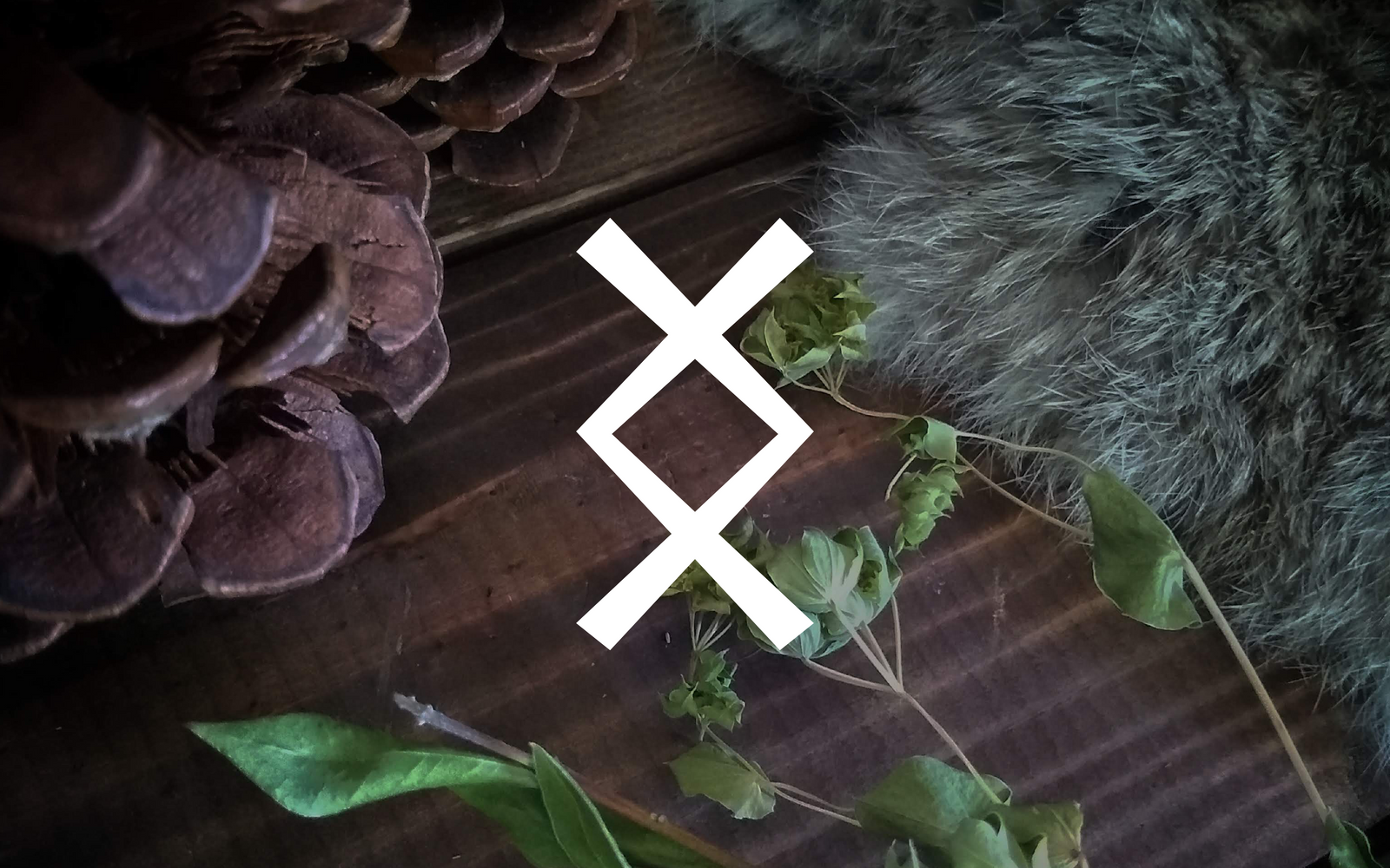 Ingwaz: Spark Your Inspiration