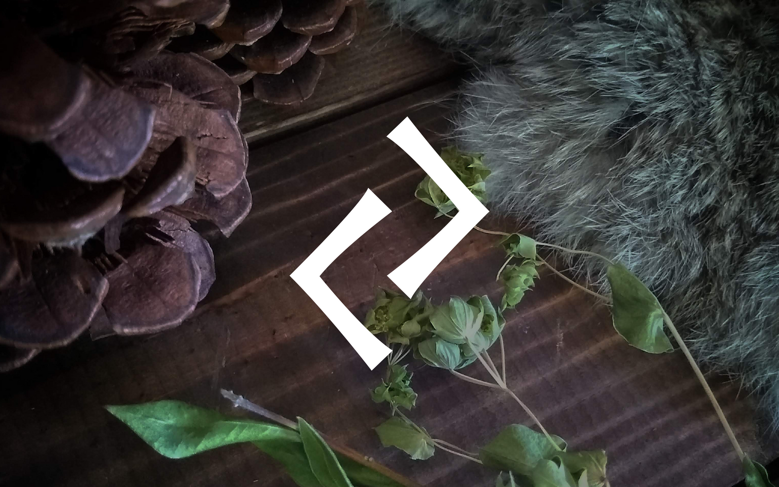 Jera: Reap Your Harvest