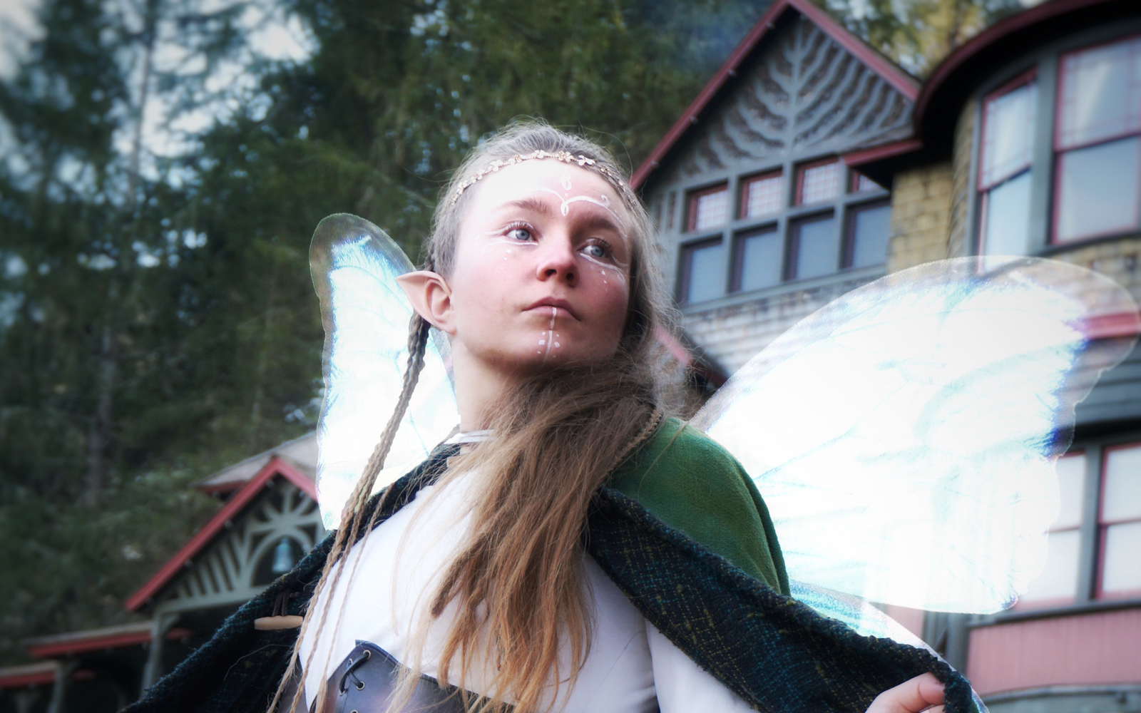 "The Wallflower" Recipe