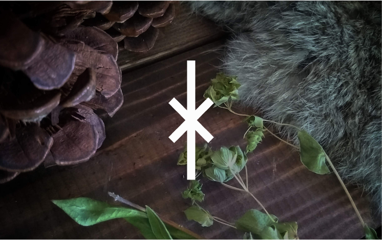 Guest Author | Ior Rune