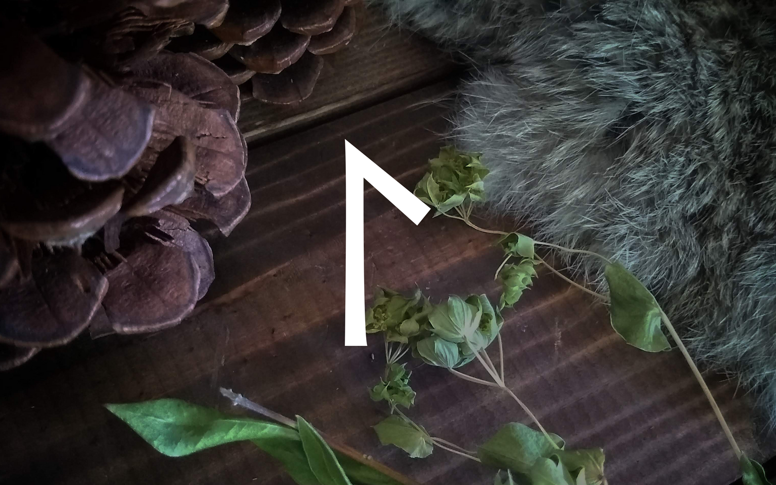 Laguz: Healing Rituals