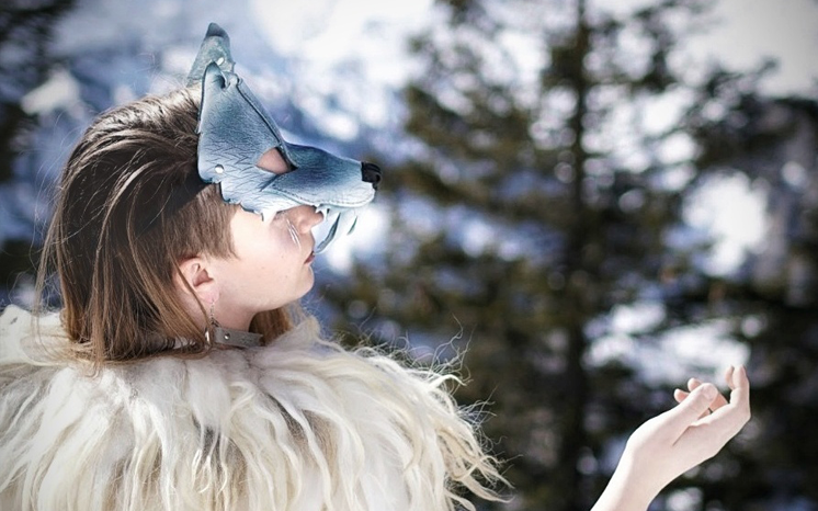 Frost Wolf Photoset