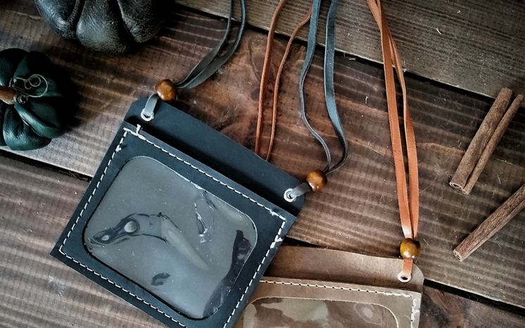 Early Access Password