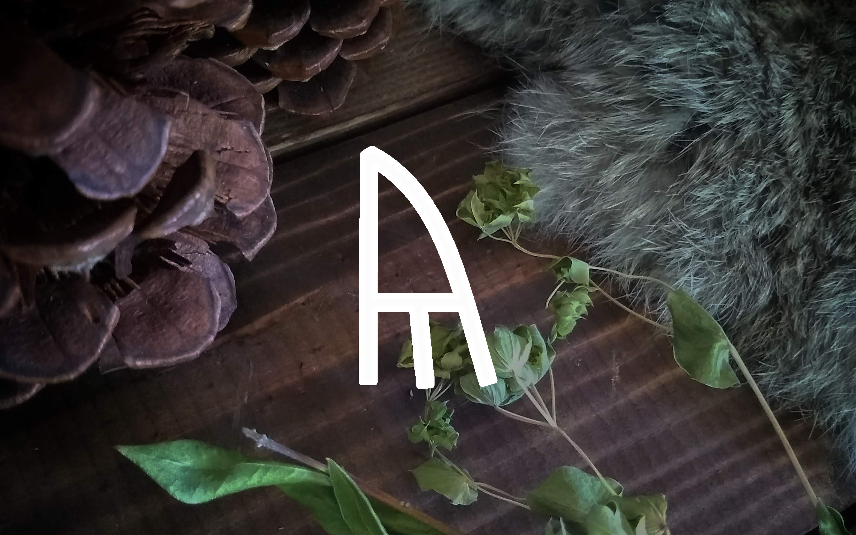 Guest Author | Yr Rune – Embercraft Creations