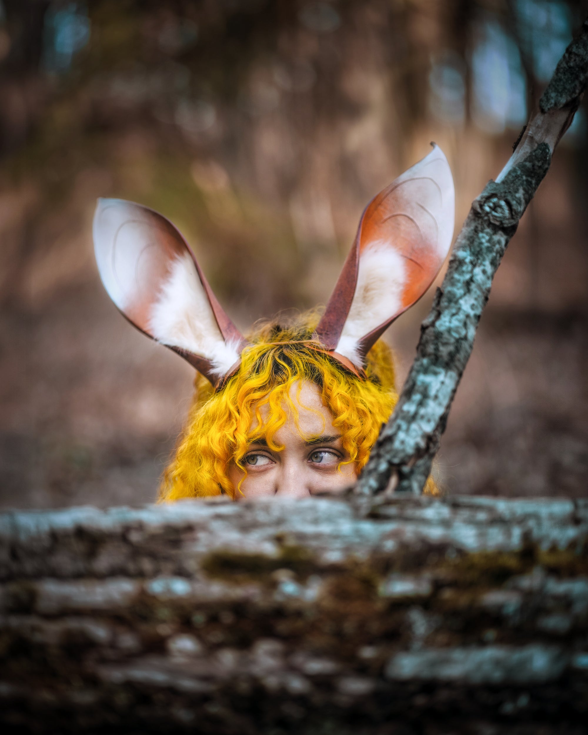 The Changeling's Rabbit Ears