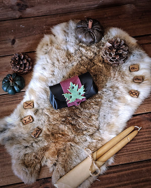 The Journeyer's Coinpurse