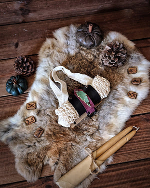 The Forager's Bag Bundle