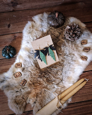 The Warden's Earrings