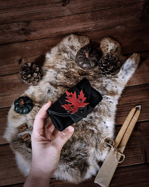 The Journeyer's Coinpurse