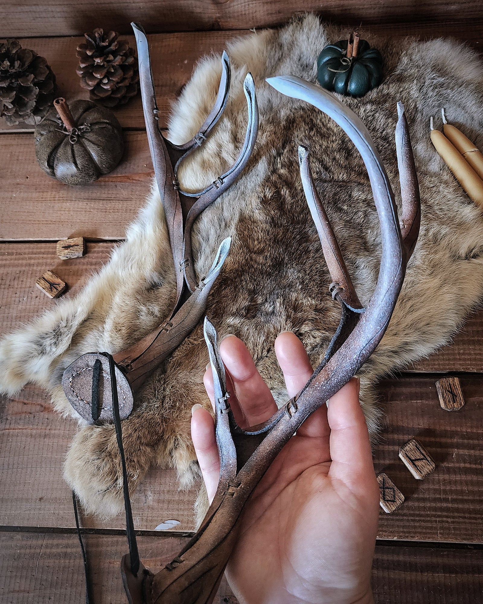 The Changeling's Antlers