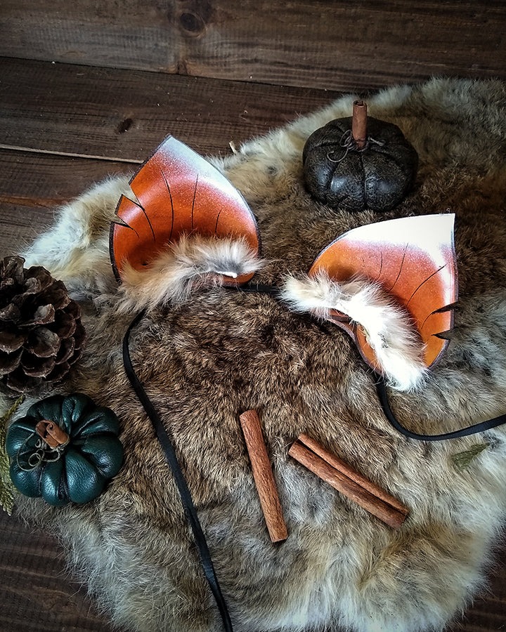 The Changeling's Fox Ears