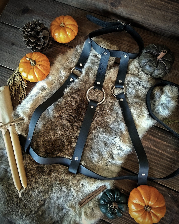 Maiden Mother Crone Harness